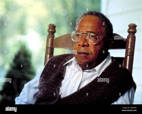 alex haley roots movie free.